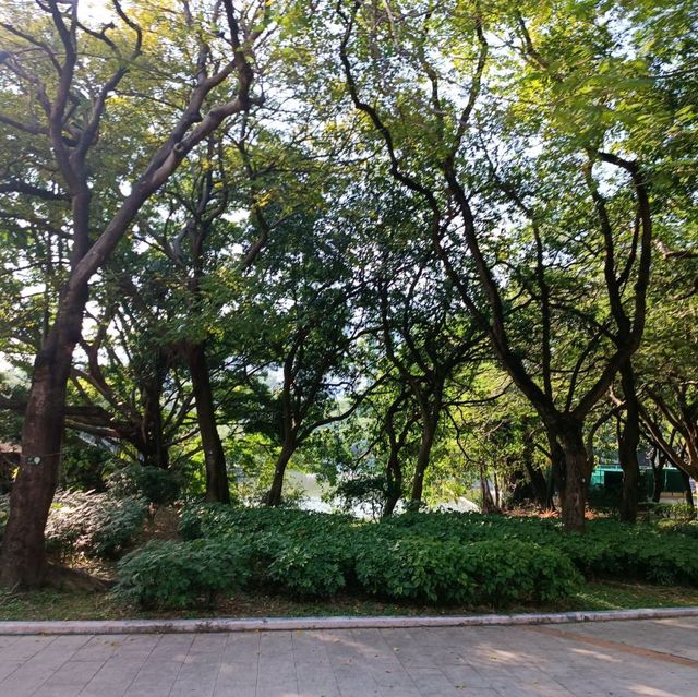 城市中一片靜土~屯門公園