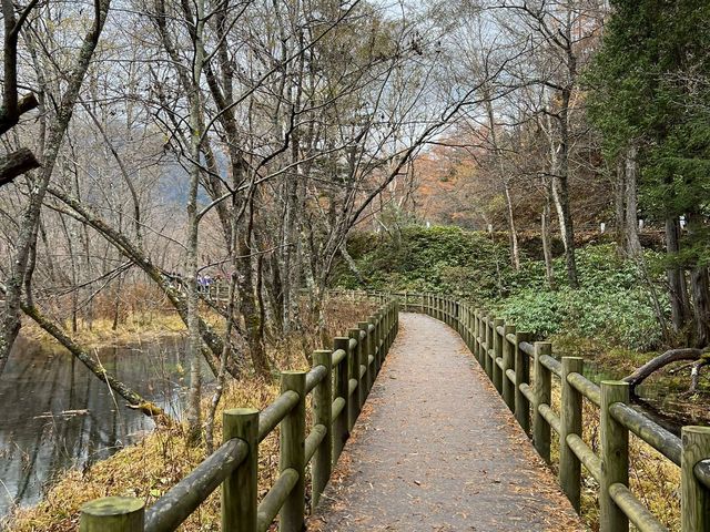 上高地⛰️日本阿爾卑斯上的絕色美景