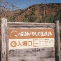 🗻SAIKO Iyashi no sato NENBA