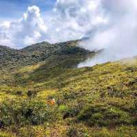 Leuser national park montain