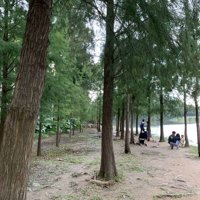 粉嶺流水響