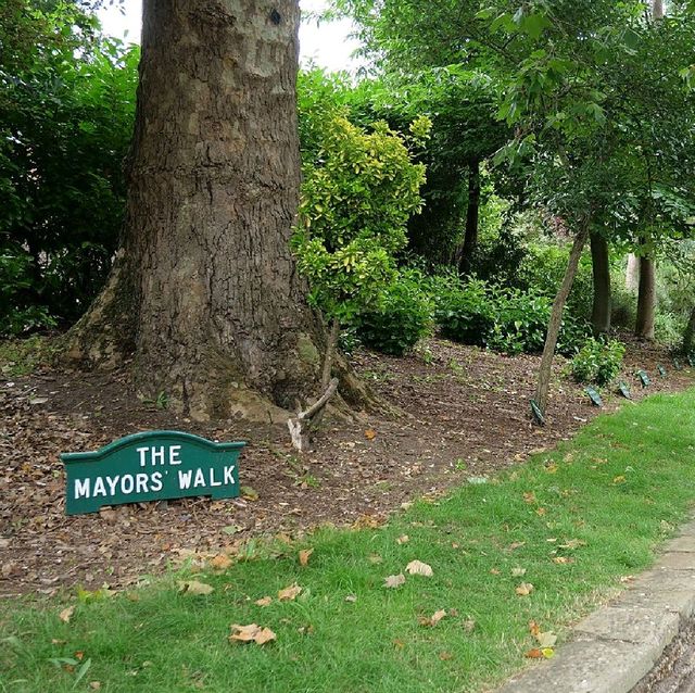 The Christchurch Park