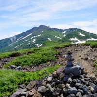 初夏の鳥海山を眺めながら