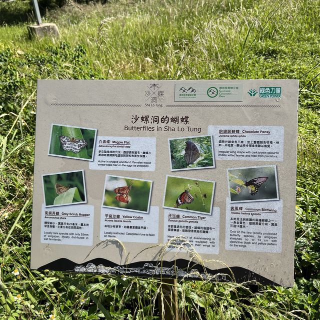 沙螺洞