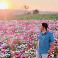 มุ่งคอสมอส ที่ Route 3060