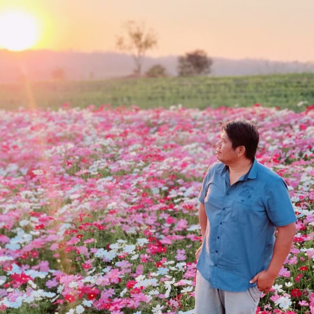 มุ่งคอสมอส ที่ Route 3060
