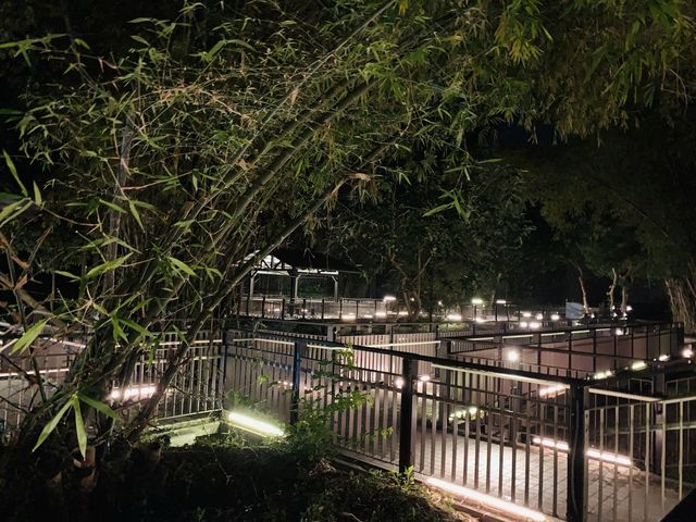 屏東小琉球景點-夜間導覽