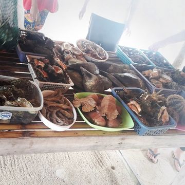 菲律賓巴拉望旅遊勝地|海底河流國家公園🏞️ 菲律賓巴拉望旅遊勝地|海底河流國家公園🏞️