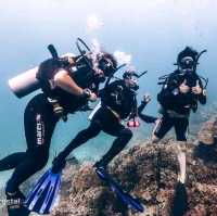 Scuba diving at Koh Tao