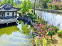 九龍城寨公園賞花好去處