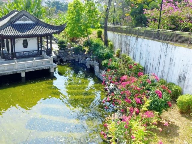九龍城寨公園賞花好去處