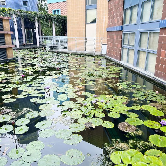 悠閒散步的好去處 | 史前文化博物館｜認識文化賞花看樹