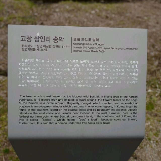 고창여행 송악