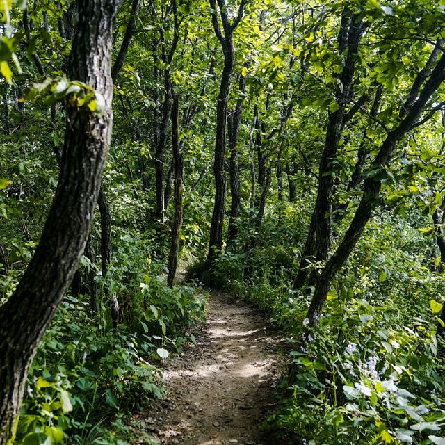 치악산 등산