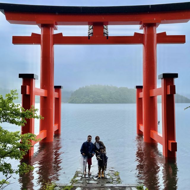 雨の中でも神々く紫陽花も綺麗な箱根神社