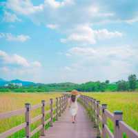 💚대구에서 만난 제주스러운 자연 [대구, 대명유수지]