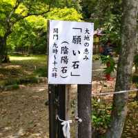 パワースポットの宝庫である上賀茂神社