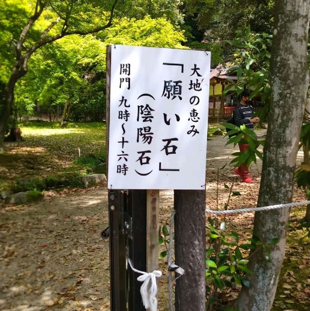 パワースポットの宝庫である上賀茂神社