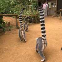 英國最具規模的野生動物公園及花園