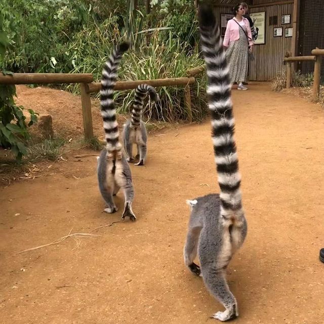 英國最具規模的野生動物公園及花園