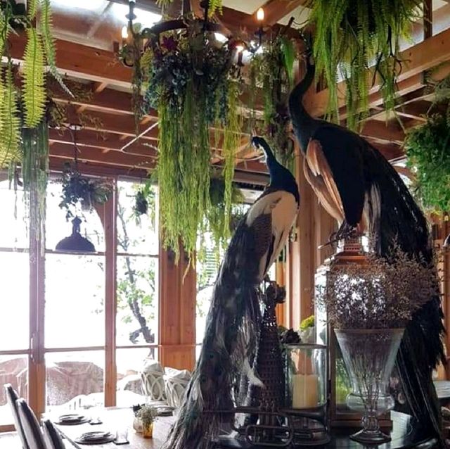 บรรยากาศสุดชิค ที่ The Glass House Silver ✨
