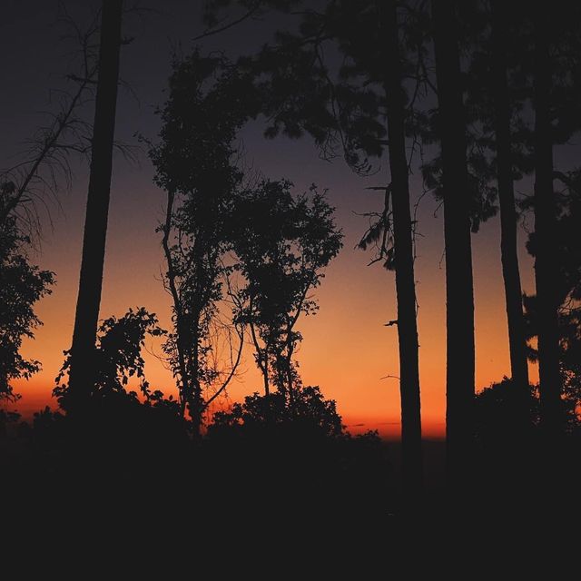 นั่งรถไฟชั้น3 ไปเดินป่า “ดอยขุนตาล” นั่งรถไฟชั้น3 ไปเดินป่า “ดอยขุนตาล”