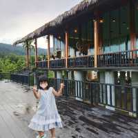 ไร่ชา1000 ไมลฺ์ ที่ใครๆต้องไม่พลาด