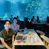Level-up Dining at Cebu Ocean Park.🥰