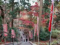 【京都】京都随一の紅葉スポット！毘沙門堂門跡をご紹介