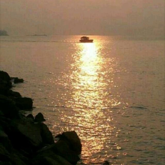 日出瀟灑🌅黃昏浪漫💐