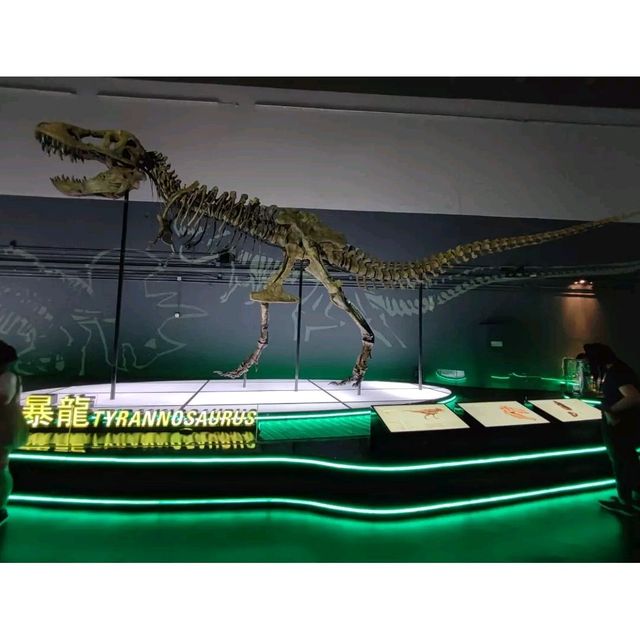 香港恐龍展 香港恐龍展