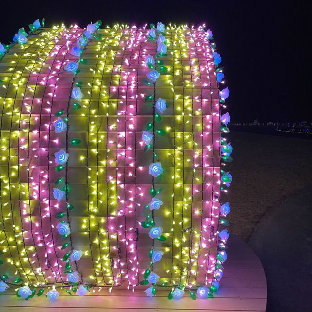【千葉県】煌めく虹のトンネルを楽しむ！
