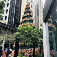 Season Feels at Eastwood City