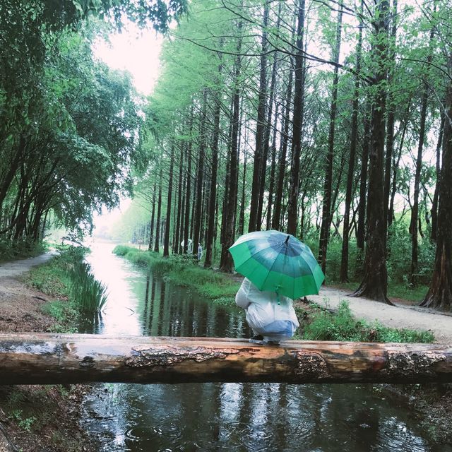 경주 구석에서 인생샷 찍을 수 있는 곳🌴