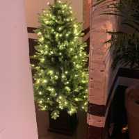 독특한 건물 구조가 크리스마스 트리를 더 특별하게 보이게 하는 곳 🎄