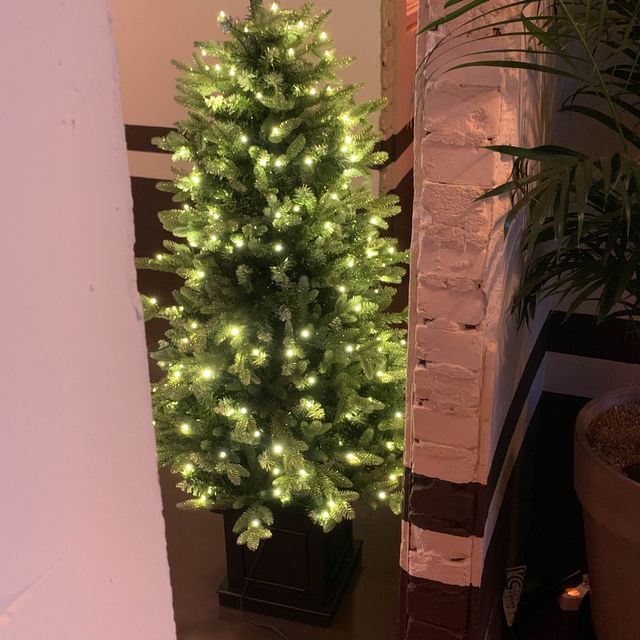 독특한 건물 구조가 크리스마스 트리를 더 특별하게 보이게 하는 곳 🎄