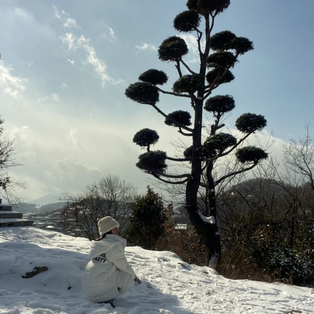 목포 유달산