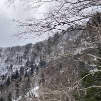 北海道_層雲峽谷