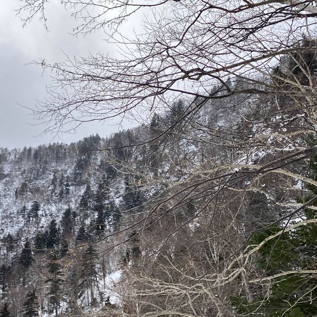 北海道_層雲峽谷
