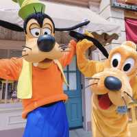 Happiest place on earth! 