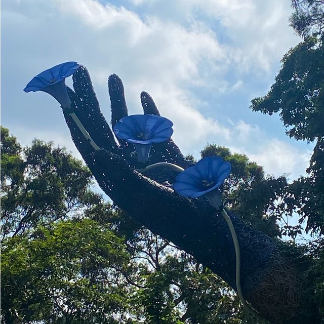 [台中新社景點]又見一炊煙～餐廳就有天空之鏡｜下午茶套餐｜日式建築拍好拍滿 