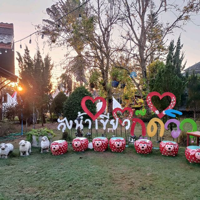🌳วังน้ำเขียว กู๊ดวิวรีสอร์ท🌳