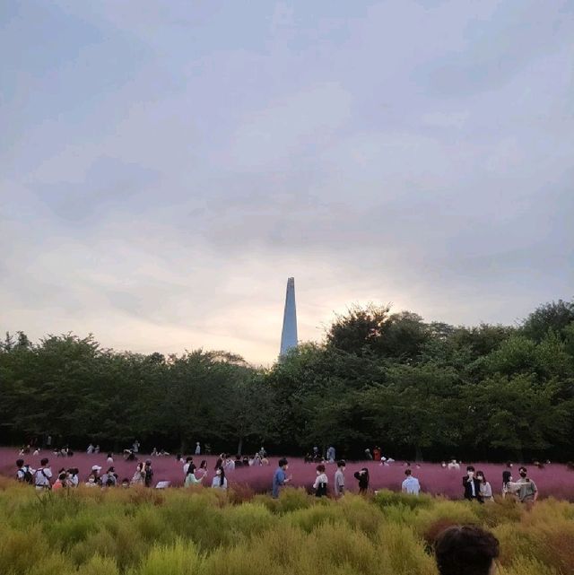 도심 속 꽃밭 올림픽공원