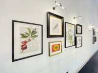Hidden gems of antique art