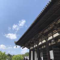 【興福寺】藤原氏の栄華。