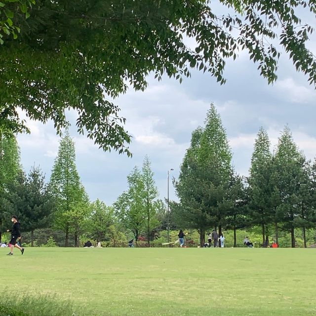 자연을 가득 느낄 수 있는 청주 문암생태공원 🌳