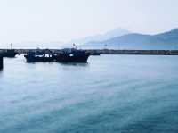 萬宜水庫東霸