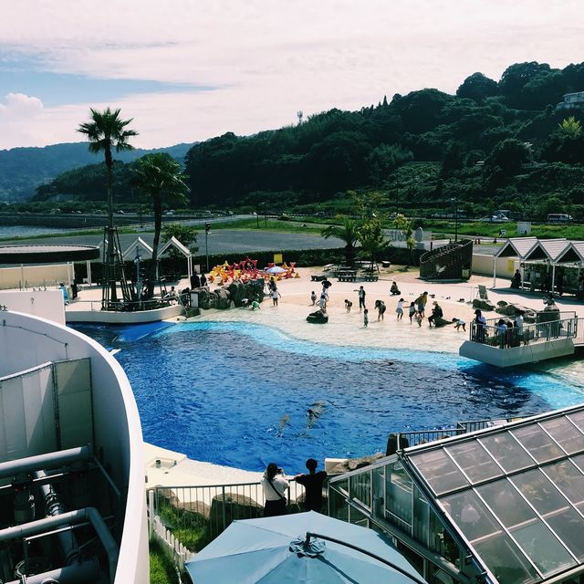 日本大分 - 必遊海之卵水族館 日本大分 - 必遊海之卵水族館