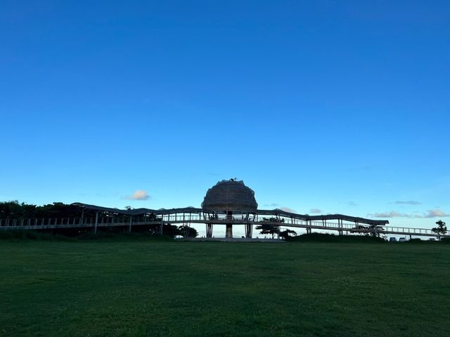 超美必打卡的台東河濱公園 絕對要來打卡朝聖
