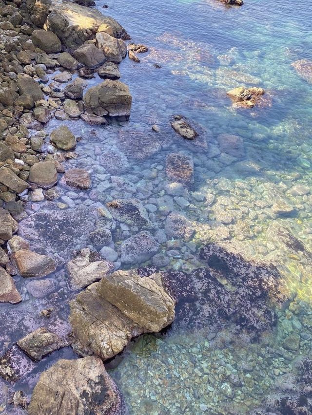 해안 절경을 따라 걷는 삼척 초곡용굴촛대바위길🌊